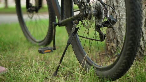 close-up of bicycle wheel and pedal with person s leg on pink sneaker removing stand, set in lush green park with blurred background, showcasing details of cycling equipment