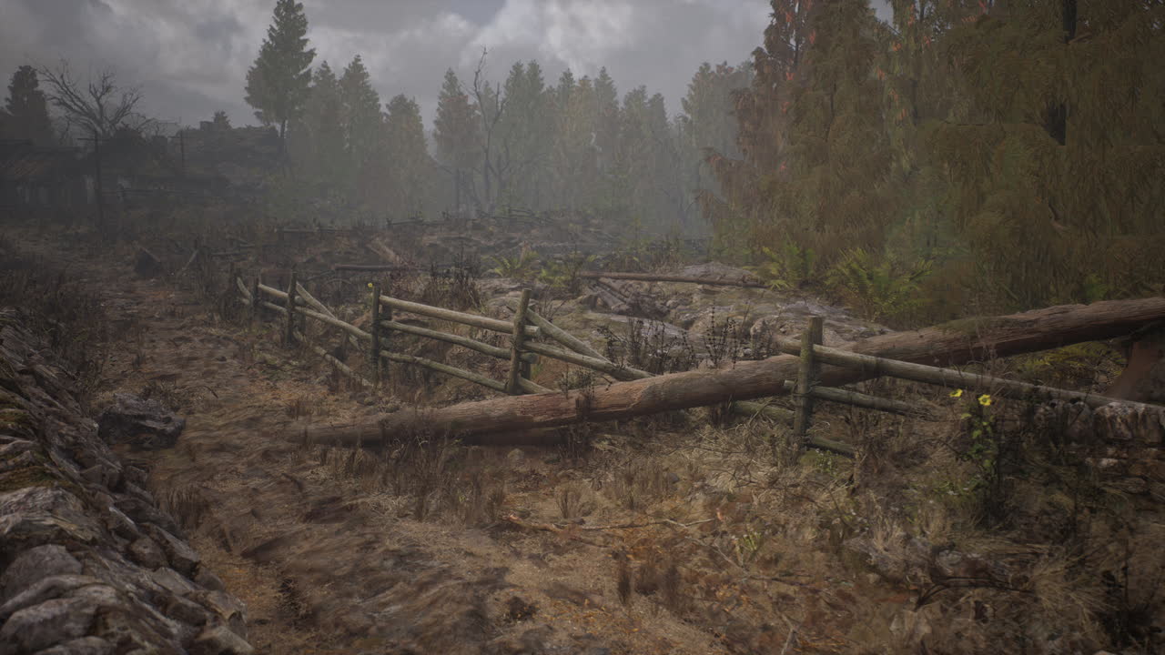 старый деревянный забор с деревенским полем за ним