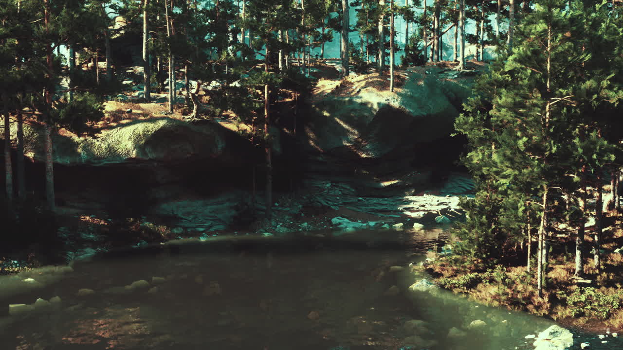 un lago de bosque pacífico