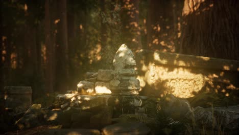 ruinas viejas de la antigua ciudad en el bosque de pinos