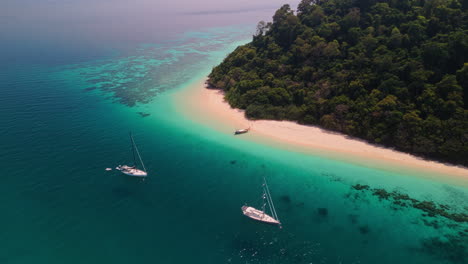 tropical island paradise with sailing boats