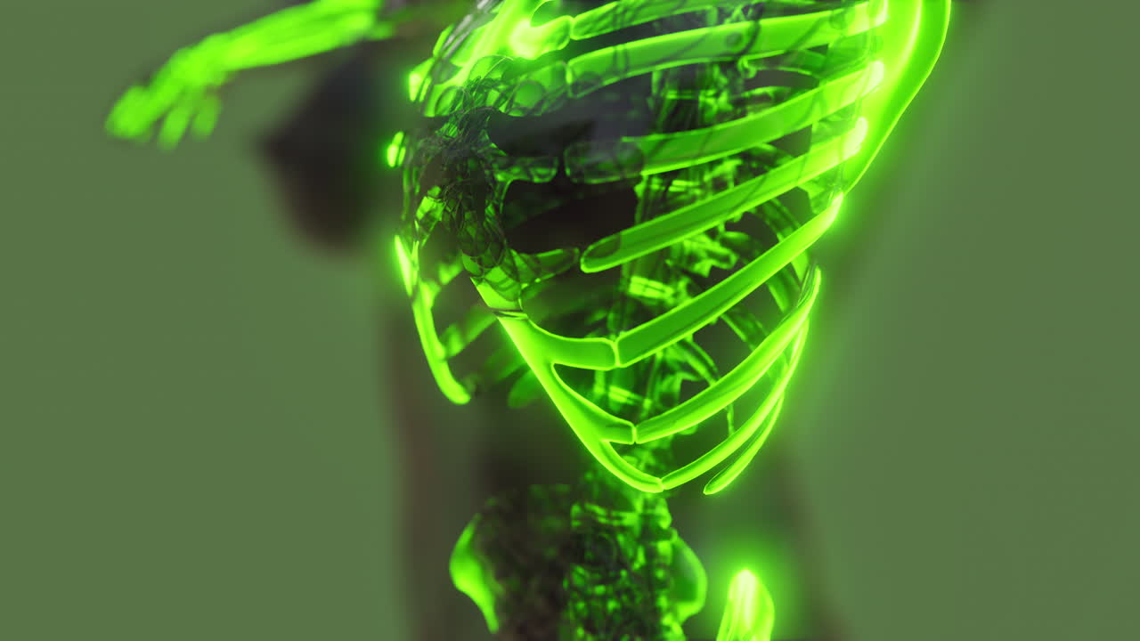 눈에 띄는 골격  ⁇ 가 있는 투명한 인간 몸