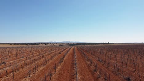 Aerial-image-dry-wine-land