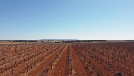 imagen aérea de tierra de vino seco