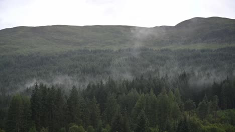 Toma-Estática-De-La-Niebla-Que-Se-Eleva-Desde-El-Bosque-Después-De-Una-Lluvia-De-Verano