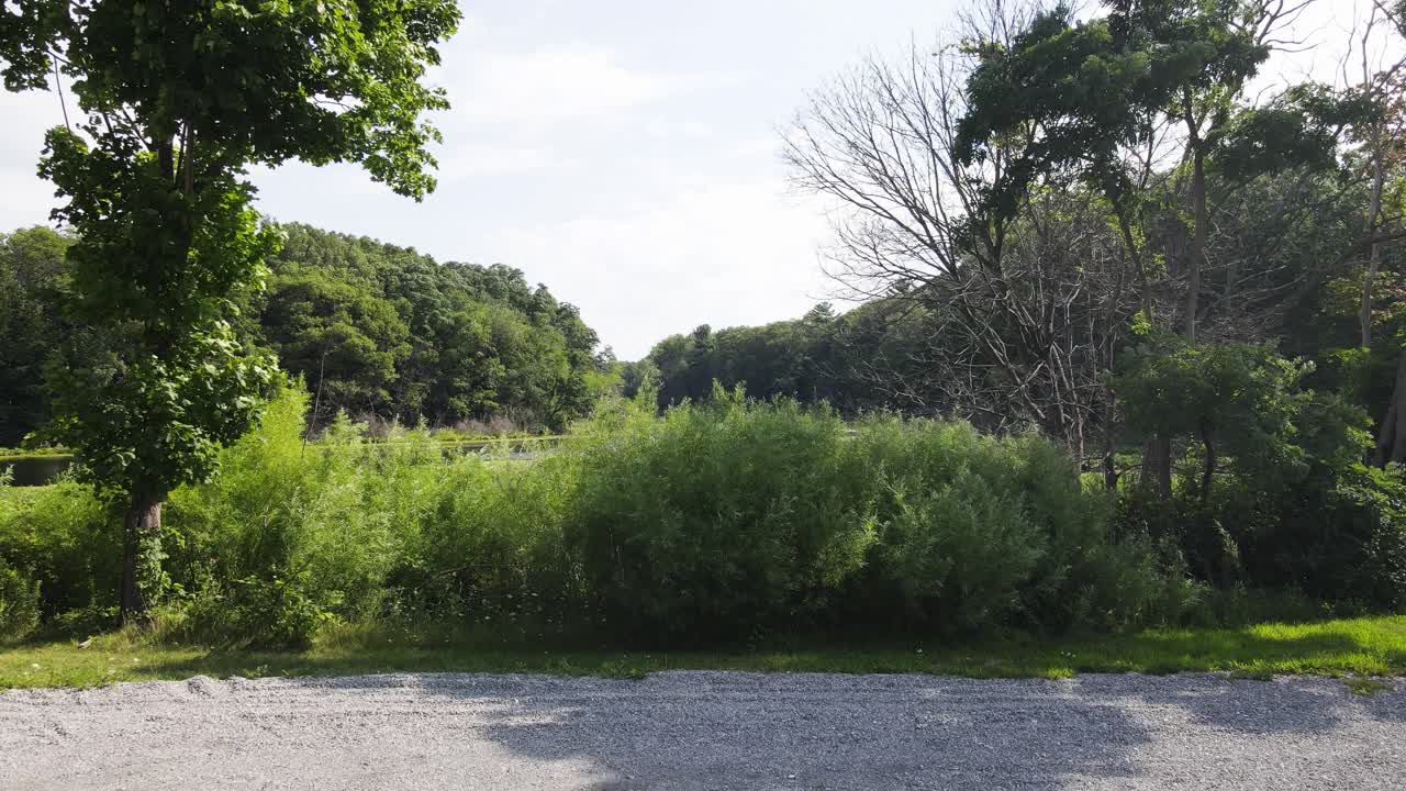 주차장 시작, 석호 가장자리에 있는 인근 식물로 밀기