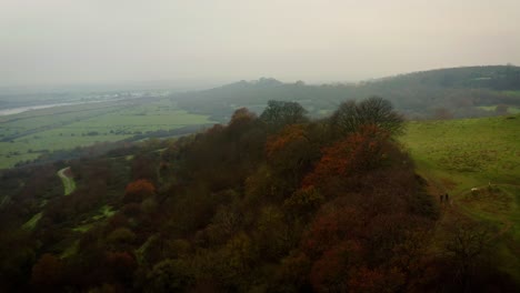 Aerial-Hadleigh-Castle-Fliegt-über-Die-Baumgrenze-Dji-Mavic-2-Pro-4k