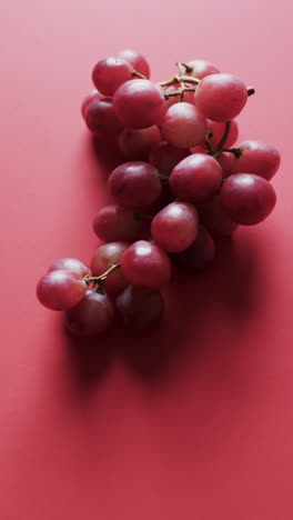 vertical video of red grapes with copy space on red background