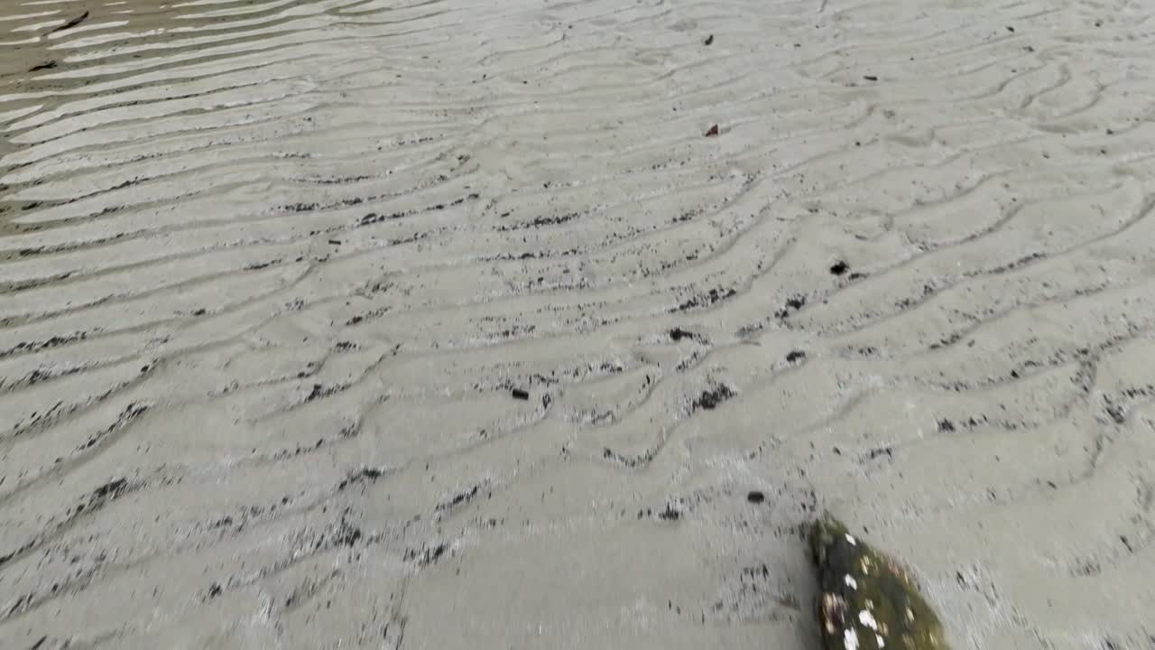Camera slowly pans across rippled wet sand, scattered rocks, and shallow water in soft daylight