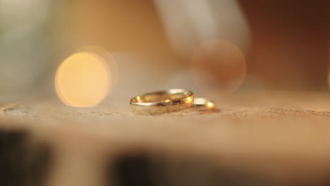anillos de boda, madera, día de la boda