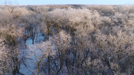 Las-Secuelas-Del-Invierno-Se-Desarrollan-Cuando-Un-Dron-Captura-Un-Bosque-Del-Medio-Oeste-Transformado-En-Un-Paraíso-Nevado-Después-De-Una-Importante-Tormenta-De-Nieve.