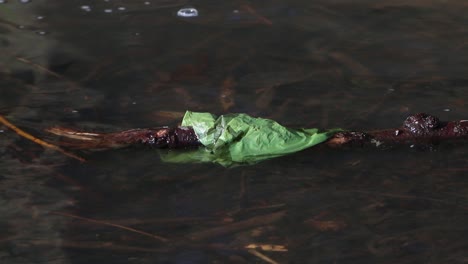 Eine-Weggeworfene-Plastiktüte,-Die-An-Einem-Ast-In-Einem-Kleinen-Bach-Hängen-Geblieben-Ist