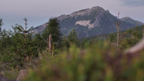 Naturlandschaften-In-Hohen-Lagen