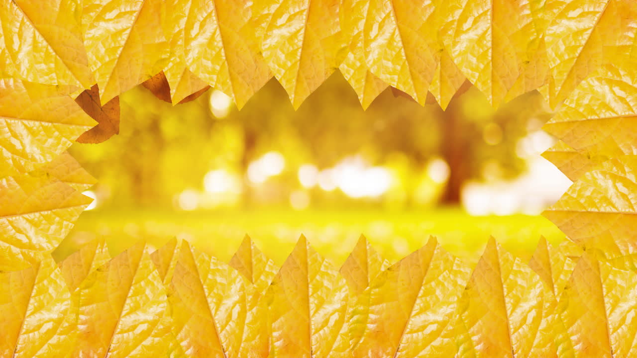 가을 자연 배경 위에 가을 잎의 프레임의 애니메이션