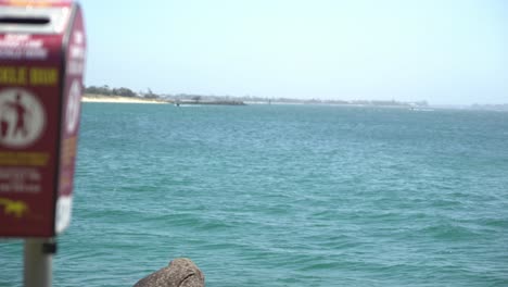fishing gear rubbish bin by the ocean with a slow pan