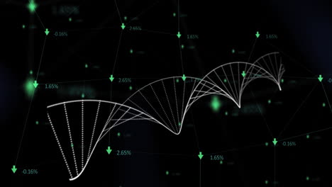 dna structure forming against arrow with increasing percentage on black background