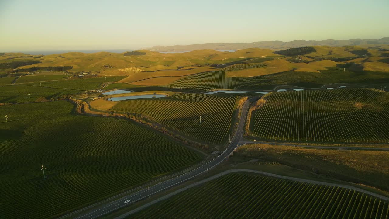 el cultivo de uvas en marlborough