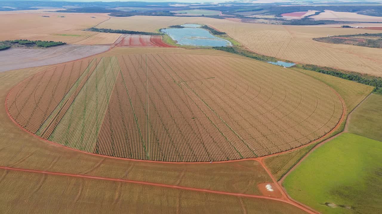 Drone shot of large circular crop field with center pivot irrigation system and reservoir lake in distance