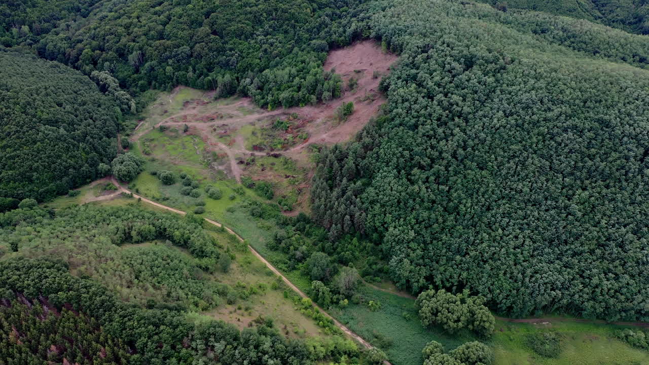 viaje por carretera a través de un bosque