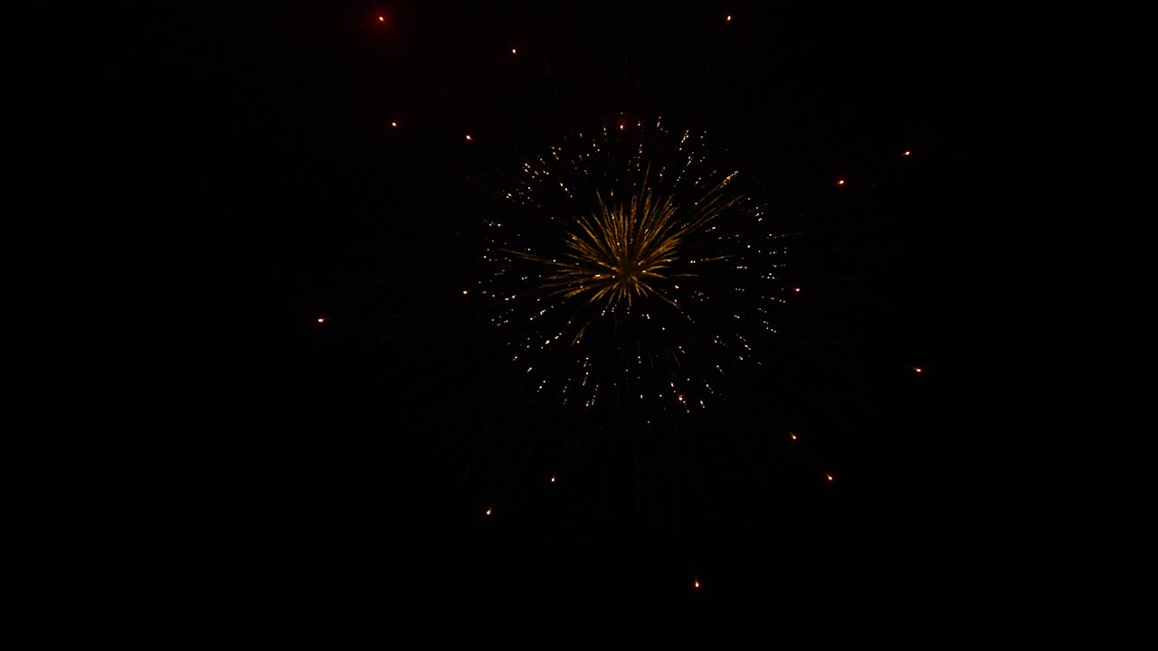 Fuochi d'artificio esplodono nel buio cielo notturno, splendida ripresa al rallentatore