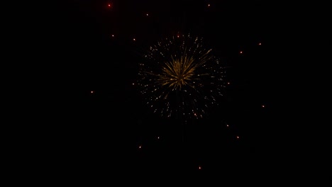 Fireworks-explode-in-dark-night-sky,-beautiful-slow-motion-shot