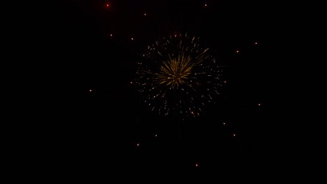 fireworks explode in dark night sky, beautiful slow motion shot