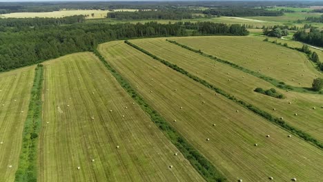 view of mowed meadows and farm from drone flight, panoramic view