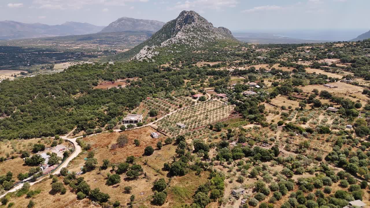 Scenografico uliveto sardo in un paesaggio lussureggiante, sensazione di tranquillità estiva