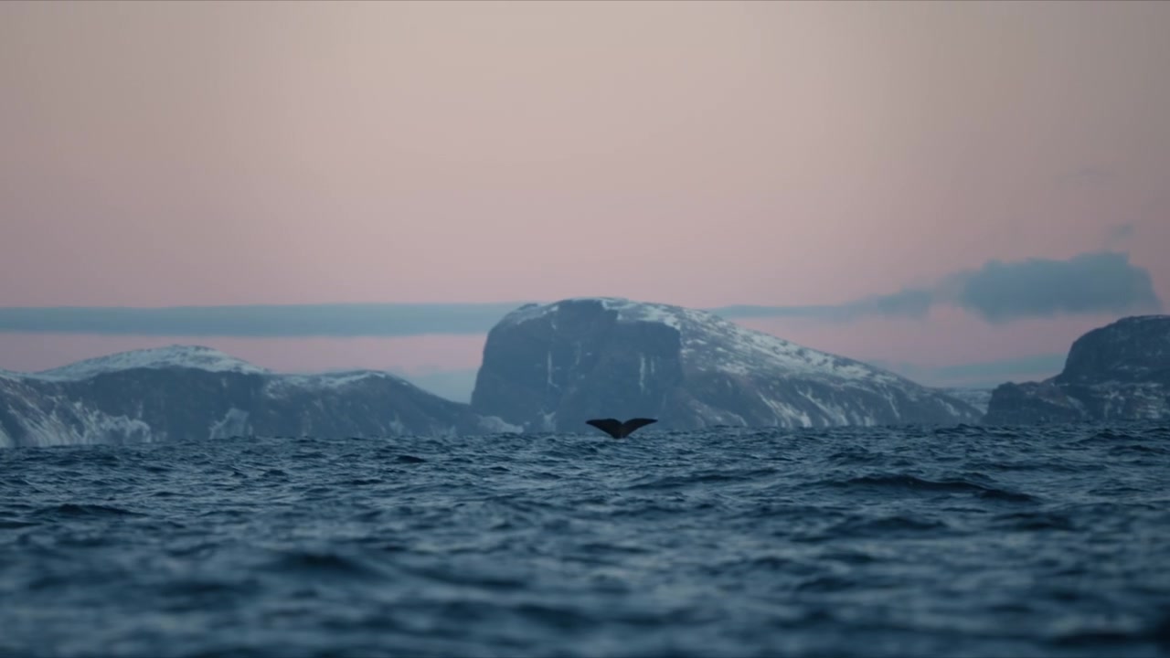 La costa nevada de Noruega se eleva sobre el mar Ártico bajo un cielo vespertino de suaves tonos pastel.