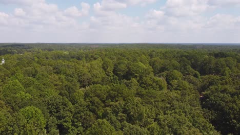 Drohnenaufnahme-Eines-Waldes-Aus-Bäumen-In-Georgia