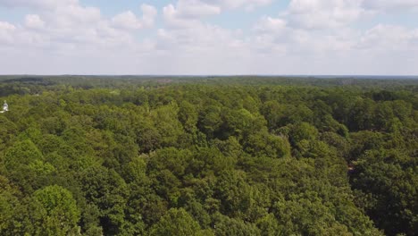 drone shot of a forrest of trees in georgia
