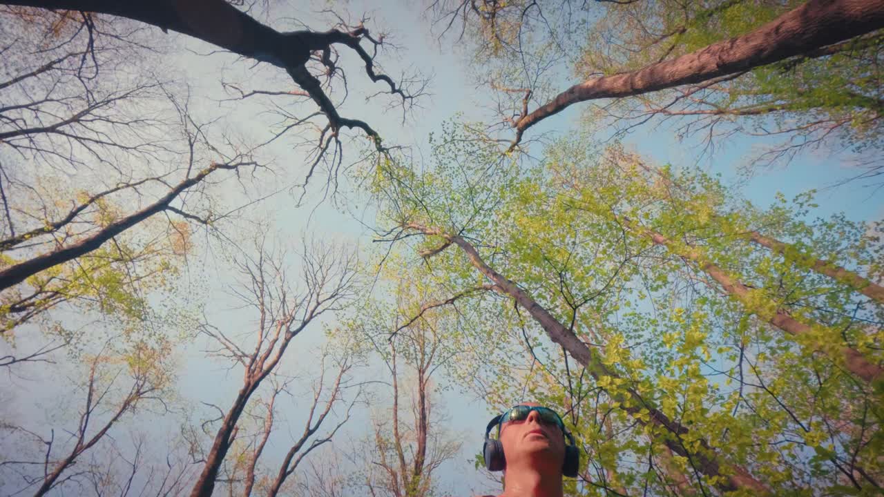 Tranquil b-roll footage of the vibrant green forest canopy with sunshine breaking through the leaves. Atmospheric nature background, serene mood. 4k quality