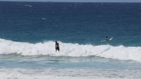 multiple surfers catch and ride ocean waves