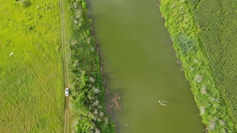 A-white-car-moving-on-a-dirt-road-next-to-a-canal,-an-Egret-flies-by,-a-farm-on-the-other-side,-Muak-Klek,-Saraburi,-Thailand