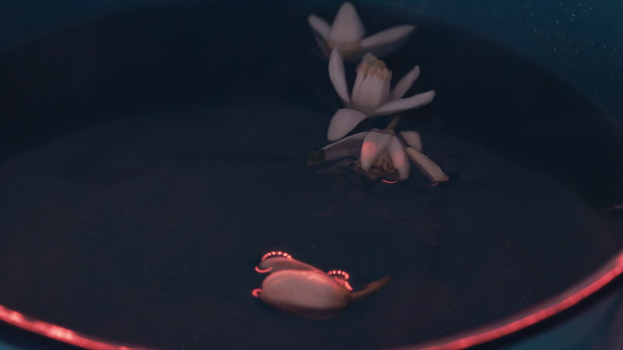 Orange Blossom flower in steaming water
