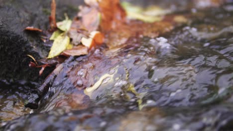 Water-running-in-a-Japanese-garden-in-Worclaw