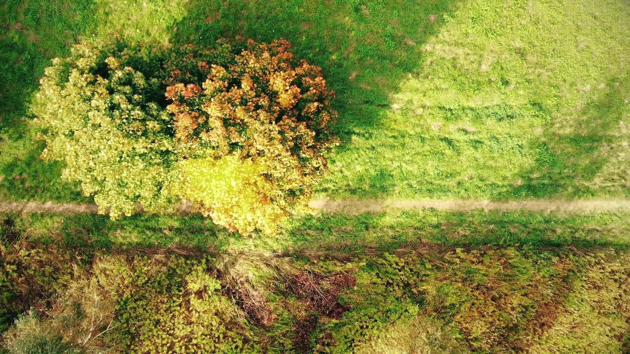 imágenes aéreas sobre una carretera rodeada de bosque otoñal al atardecer