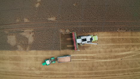 harvester has downloaded grain into tractor. full truck leaving the field and combine continuing work. bird eye view.