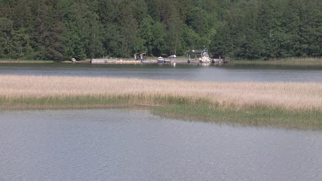 close up of lake or pond in finland