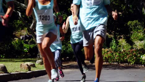 marathon athletes running in the park 4k