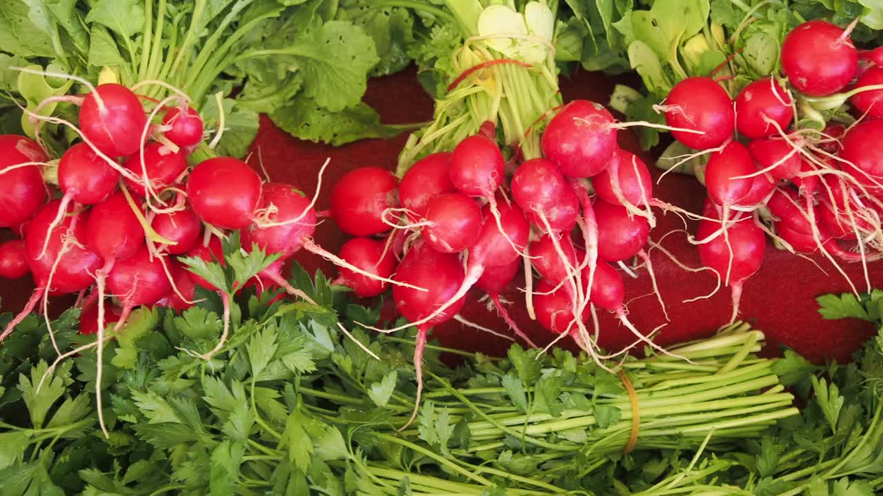 Fresh radishes and parsley