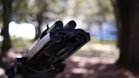 a gatling gun statue at white point gardens in charleston, sc