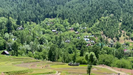 beauty of rural india and farmers land, nature beauty, hills, green fields with village life in forest area and timeless travel escapes