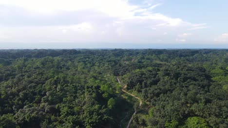 Aerial-walking-path-winding-through-Khadim-Nagar-national-park,-Bangladesh