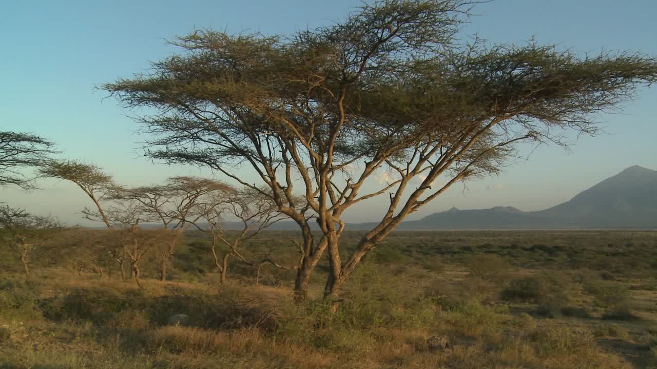 Mt Meru in the distance across the Tanzania savannah