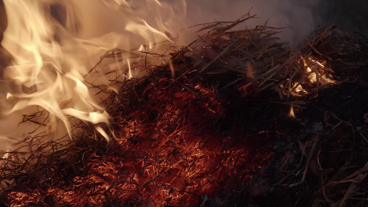 Hay straw being burned in a large fire at night, static close up