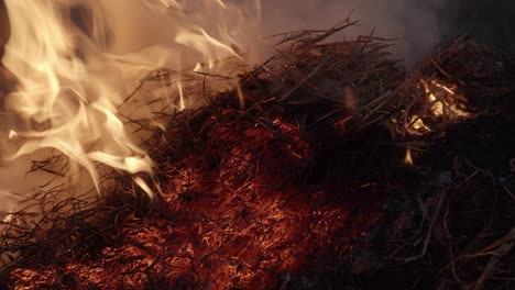 hay straw being burned in a large fire at night, static close up