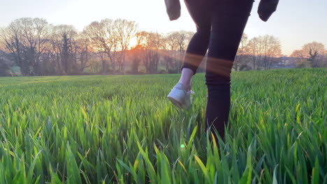 woman walking away from a low camera through a field of wheat in early summer at sunset