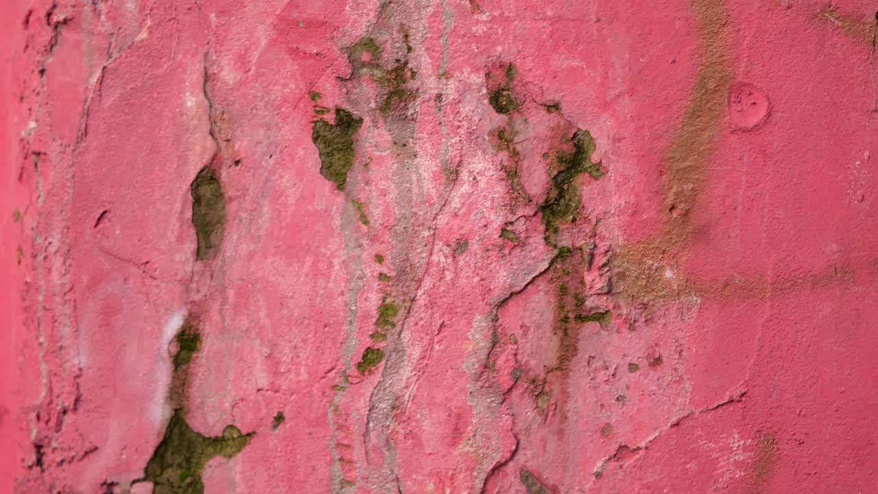 Pared pintada de rojo con musgo y grietas