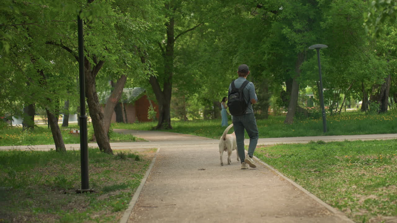 도시 공원을 거니는 개인, 푸르른 도시 풍경 속에서 반려동물과 함께 산책하는 사람, 도시 공원의 푸르른 주변 환경 속에서 강아지와 평화롭게 거니는 사람